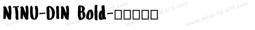 NTNU-DIN Bold字体转换